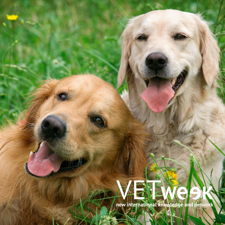 Design uden navn (18)